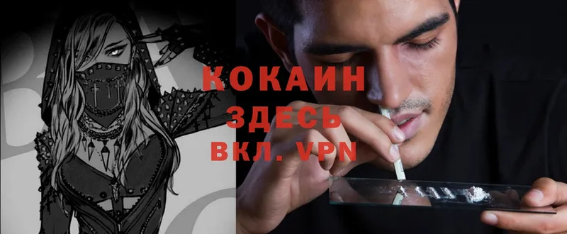 COCAIN Fish Scale  МЕГА как войти  Благовещенск 